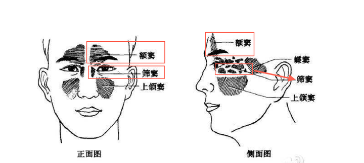 赤花症和吐花症是什么 花吐症和赤花是什么梗 赤花症和飞鸟症是什么