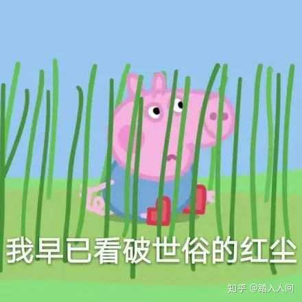 有没有什么可爱又好玩的表情包？