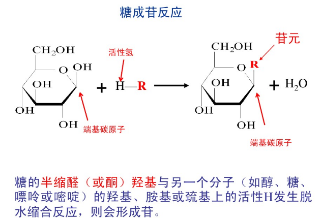 糖的半缩醛羟基结构式图片