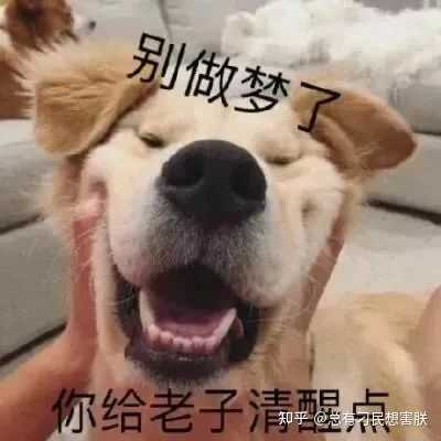 Letustiger Powered By Discuz