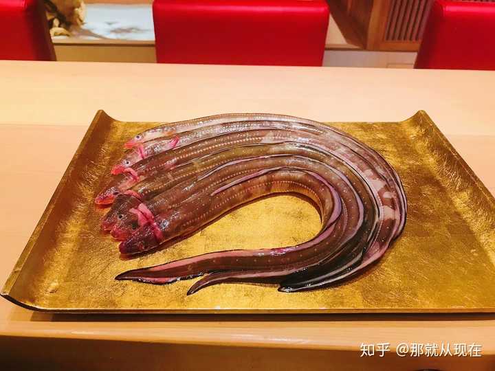 如何看待日本从福建进口鳗鱼 国鳗跟日鳗比有区别吗 知乎 如何看待日本从福建进口鳗鱼 国鳗跟日鳗比有区别吗 知乎