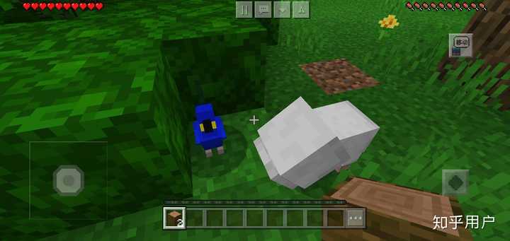 我的世界 Minecraft 怎么快速寻找丛林 知乎
