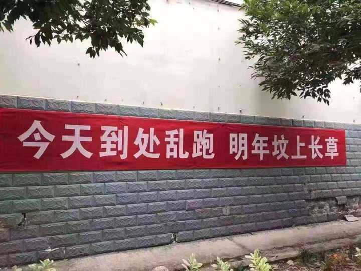 新冠肺炎疫情期间,你见过哪些硬核的宣传标语?