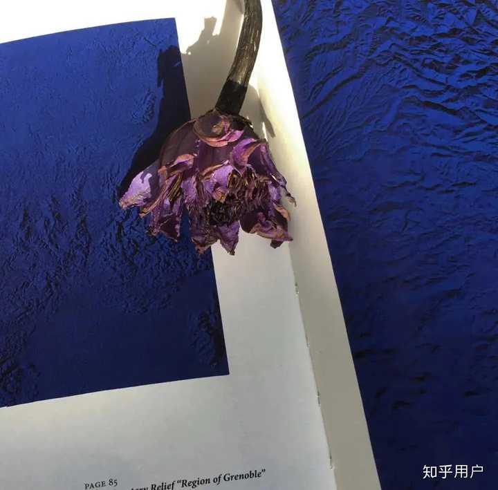 有哪些微甜的情话?