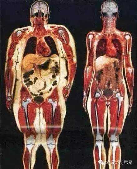 有氧运动和无氧运动有哪些区别 知乎