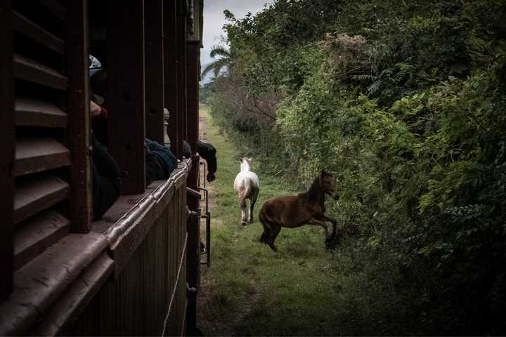你用35mm定焦头拍出过哪些好看的照片?