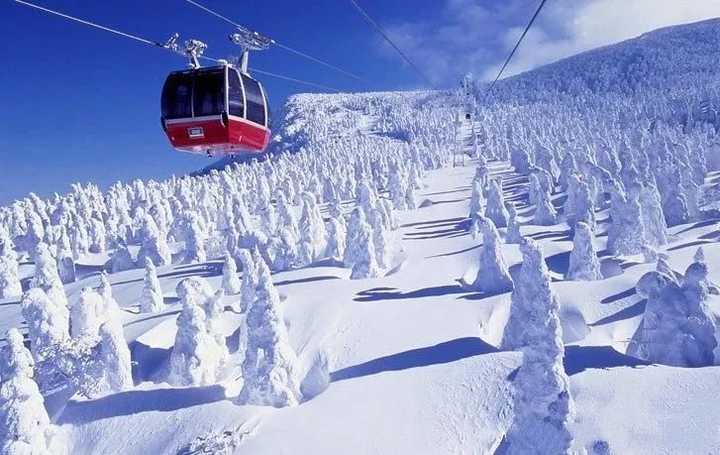 北海道哪个滑雪场比较适合初学者?