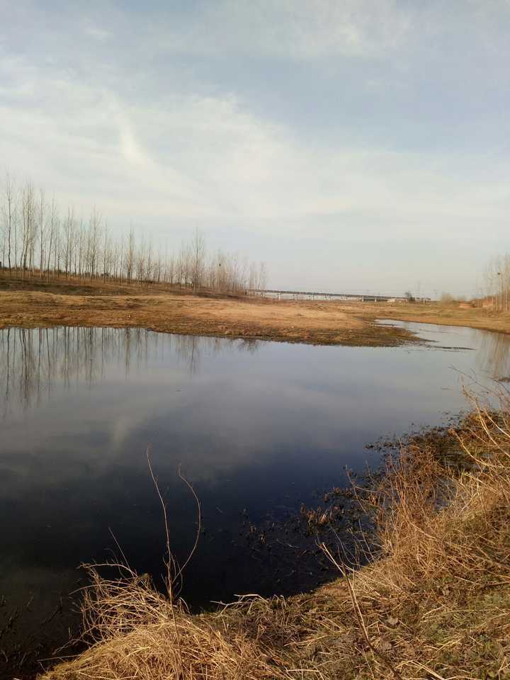 冬日暖暖天气里的河边 ……分割线