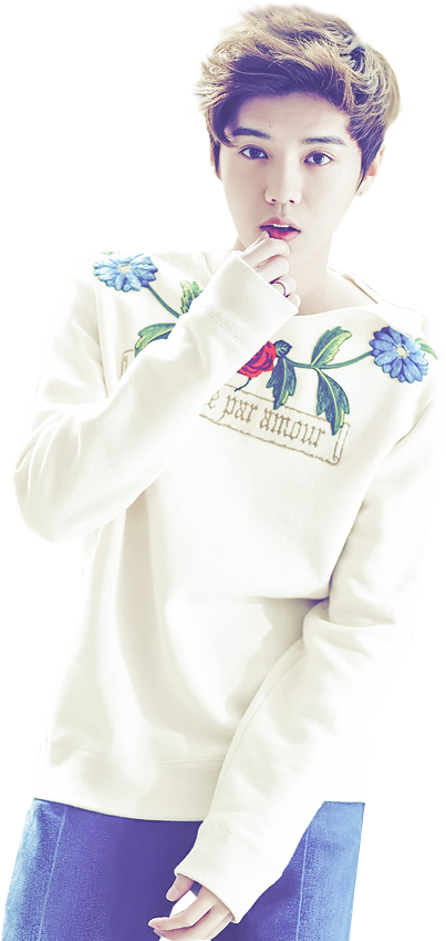 请问这个很晃的,类似于抖音的滤镜是什么?