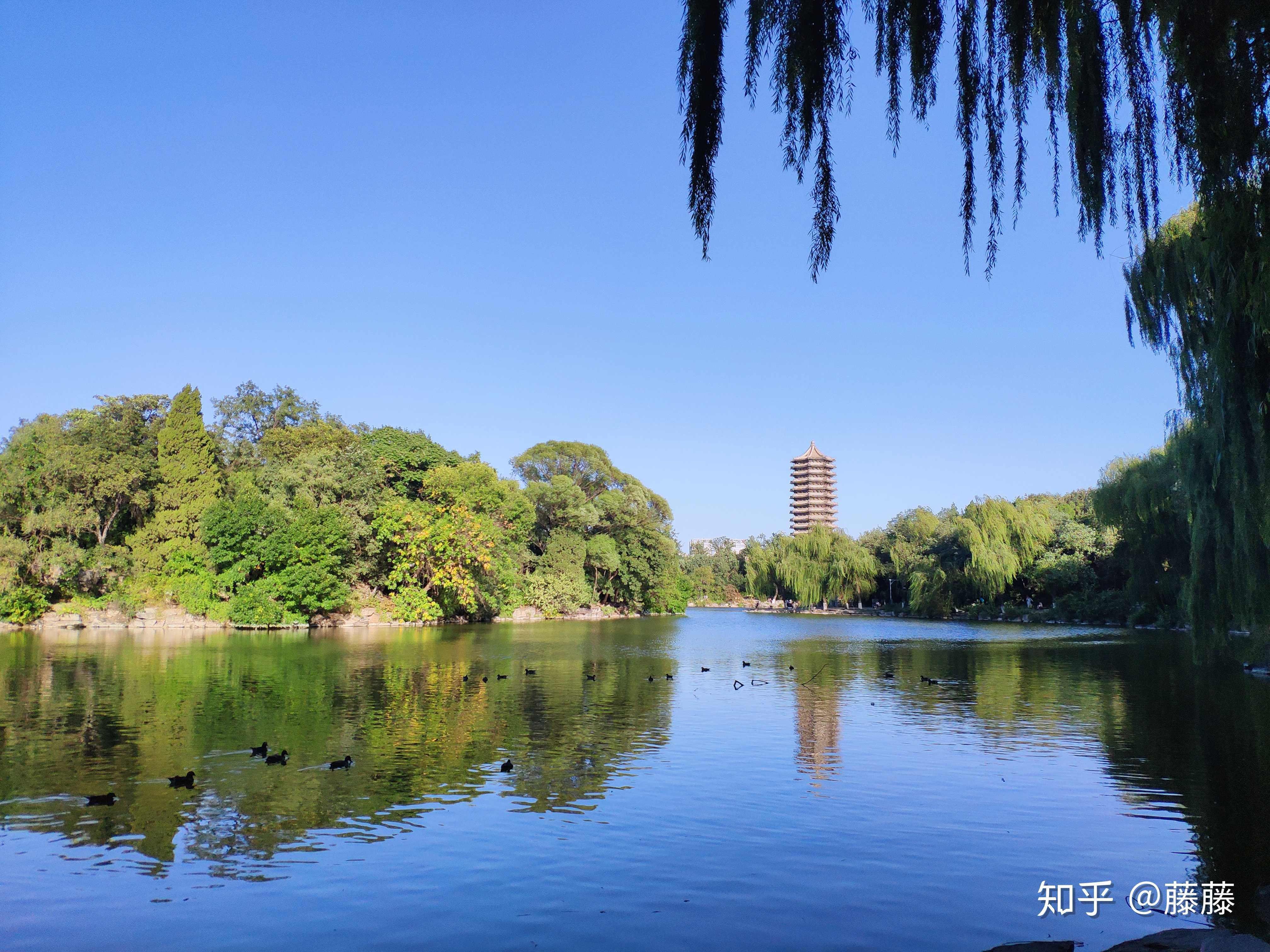 如洗的天空,惬意的未名湖