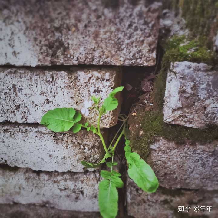 有没有自己拍的,有特殊意义的照片来分享吗?
