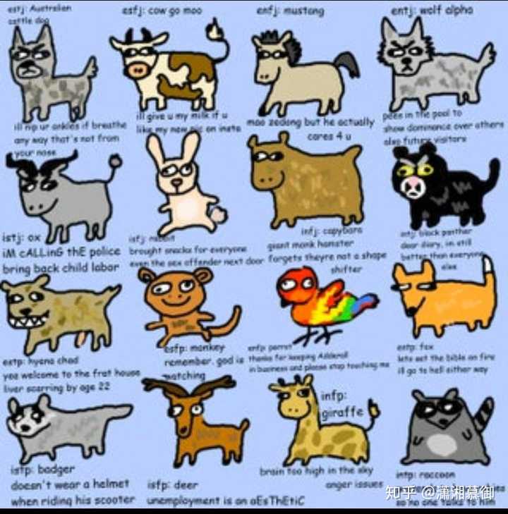 Mbti 九型的各位把自己形象化为动物 你们觉得自己是哪种动物 潇湘慕御的回答 知乎 Mbti 九型的各位把自己形象化为动物 你们觉得自己是哪种动物 潇湘慕御的回答 知乎