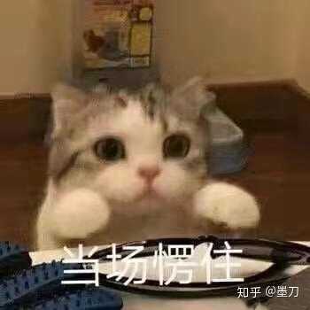 在东国大学读书是一种什么样的感受 知乎