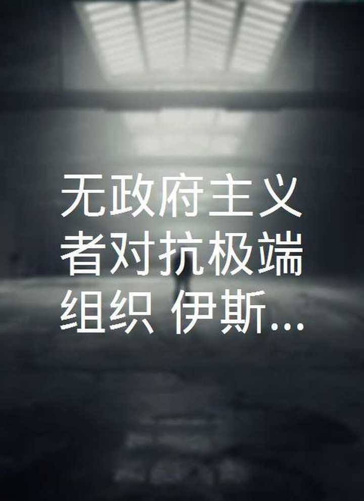 无政府主义者对抗极端组织伊斯兰国