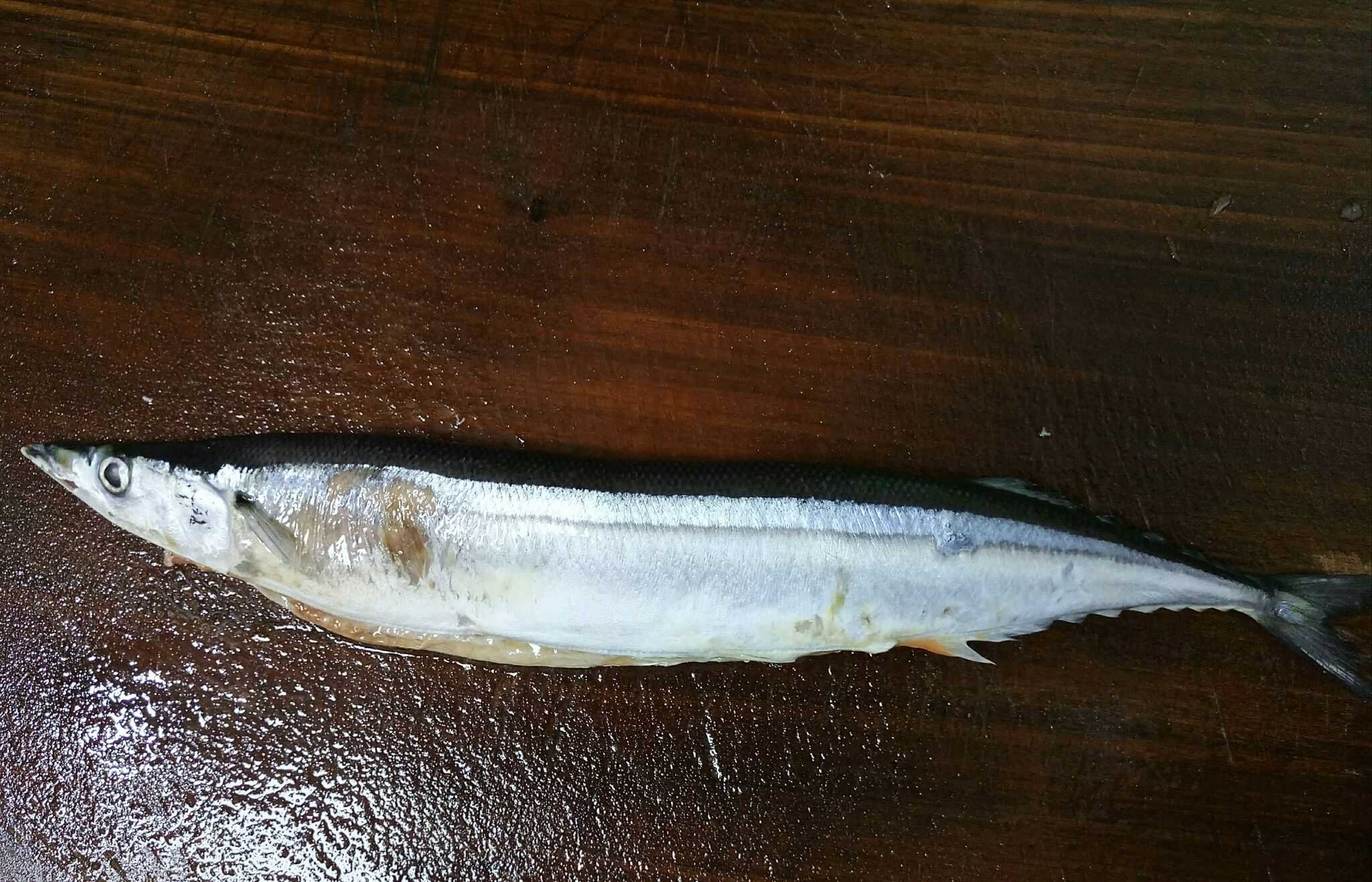 第一道:香煎秋刀鱼 秋刀鱼肉质不粗不细,腥味比不了鲅鱼,比黄花鱼要