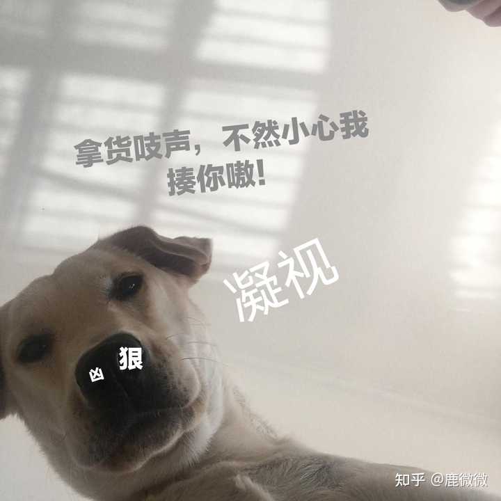 高中生物选择题有没有什么常考的易错选项 知乎 高中生物选择题有没有什么常考的易错选项 知乎