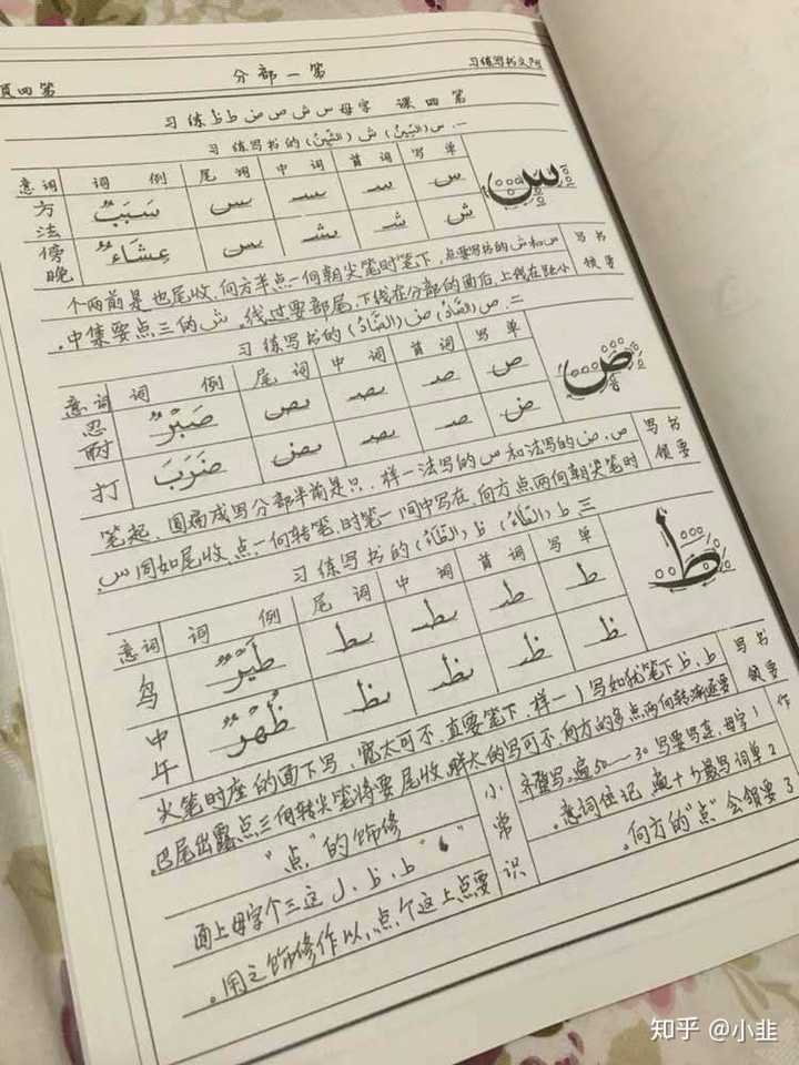 初学阿拉伯语,怎么练习书写?