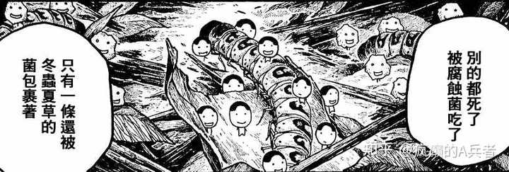 有哪些让你感到学到东西的漫画 知乎 有哪些让你感到学到东西的漫画 知乎