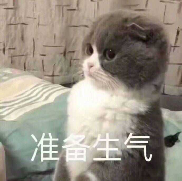 有哪些可爱的猫猫表情包 知乎