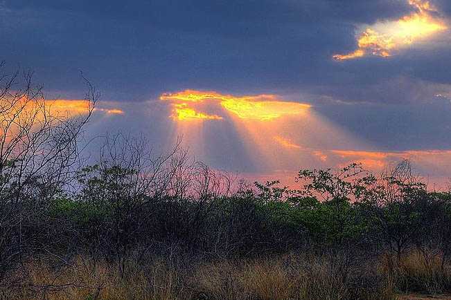 occurrences during twilight hours (those around dawn and dusk)