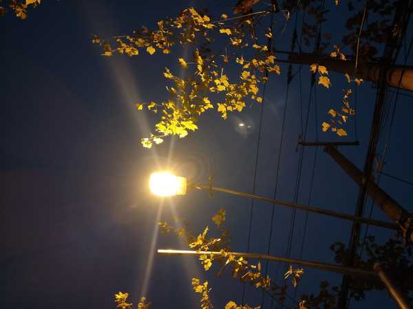 照片是有温度的，能分享些你最近拍的照片吗？