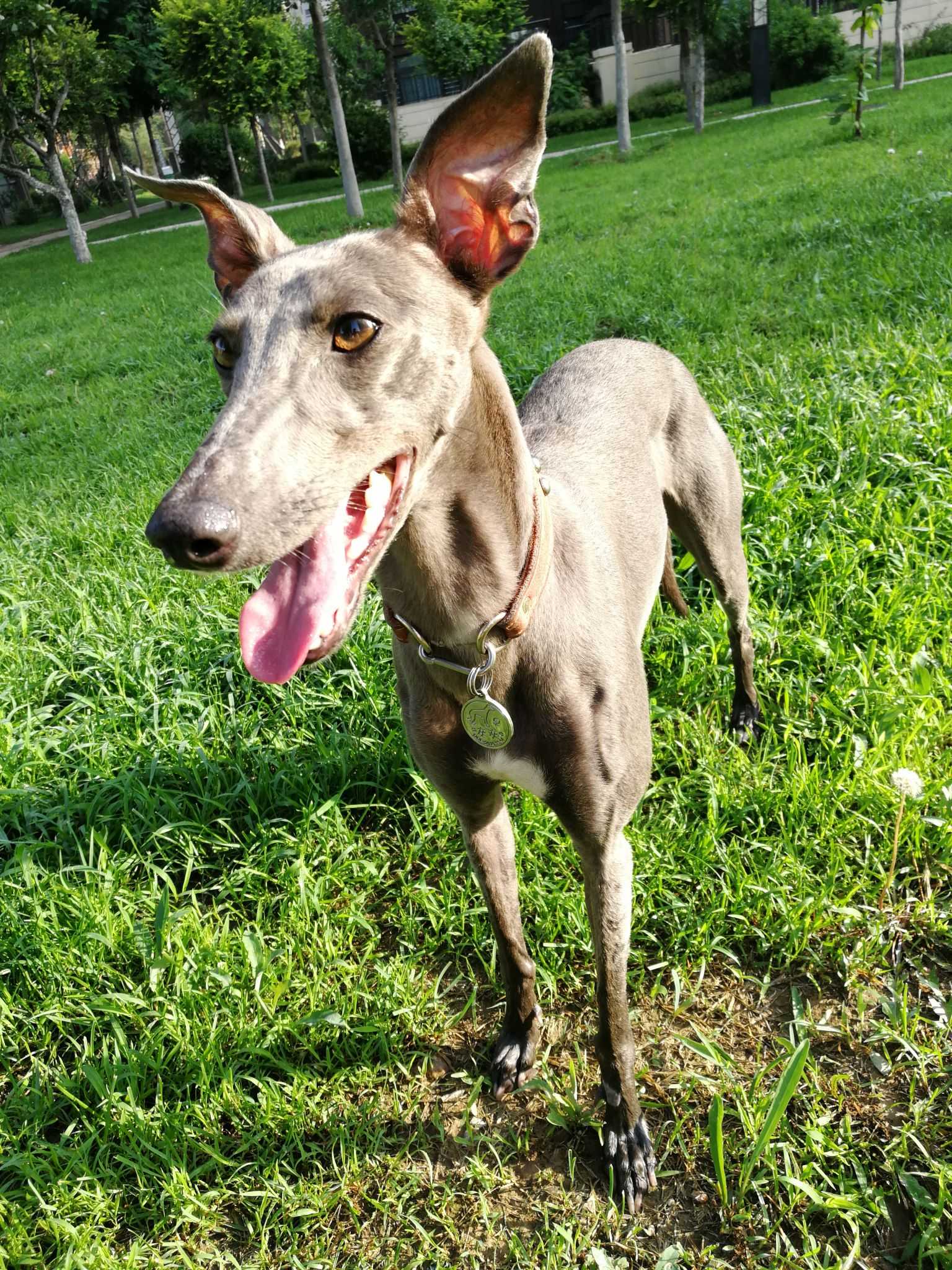 zhihu.com/?target=https://www.zhihu.