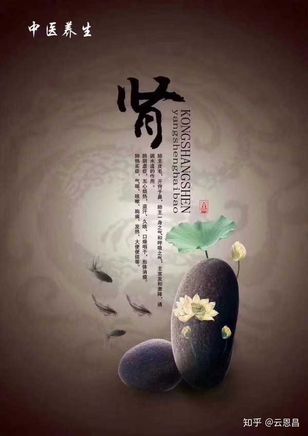 云恩昌 的想法: 肾气足,百病除肾虚是人体疾病的根源,人… - 知乎