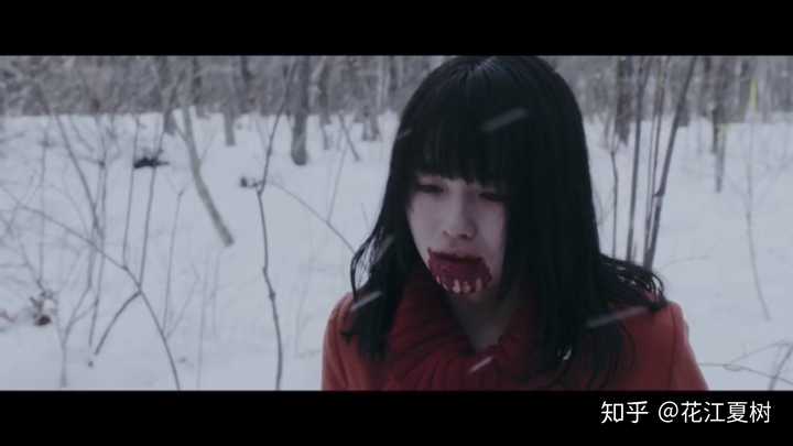 如何评价 三角草的春天 知乎 如何评价 三角草的春天 知乎
