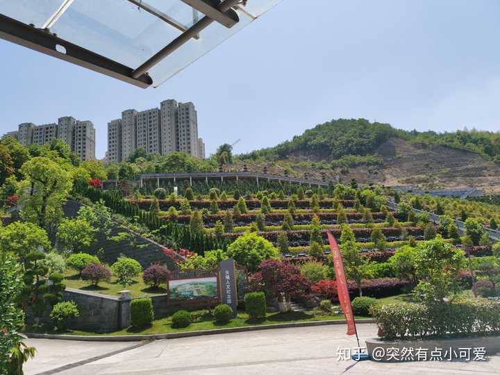 小区房前沦为坟场 玫瑰庄园小区以前是坟场 昆明以前的刑场坟场