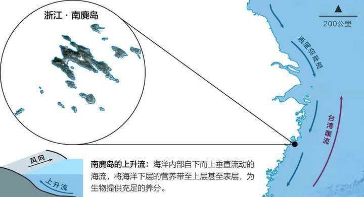 南麂岛洋流环境示意图 苏颢云