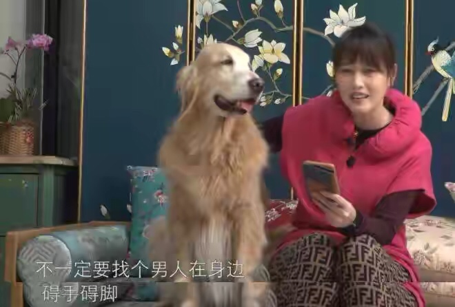 碍手碍脚打一动物 v2-90526325682d6a876f7c82128af655c5_bh.jpg