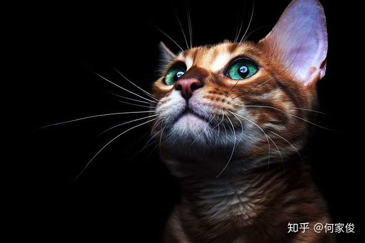 有没有厉害点的电脑壁纸?