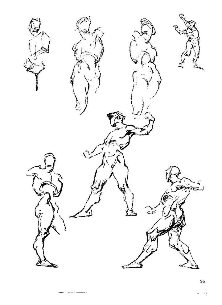 配图伯里曼大致动态描绘的例图