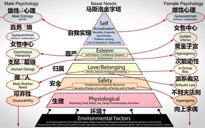 mgtow運動會成功嗎?