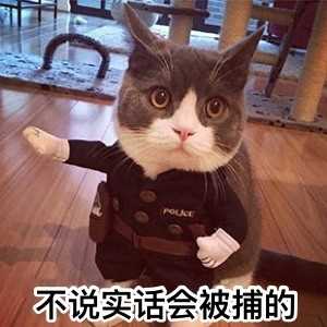 网易有道词典笔专用版好用吗