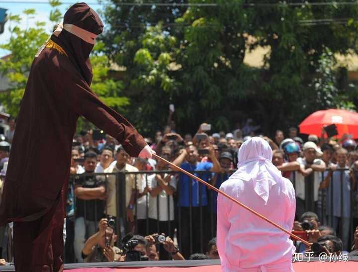 我国能否引入鞭刑?