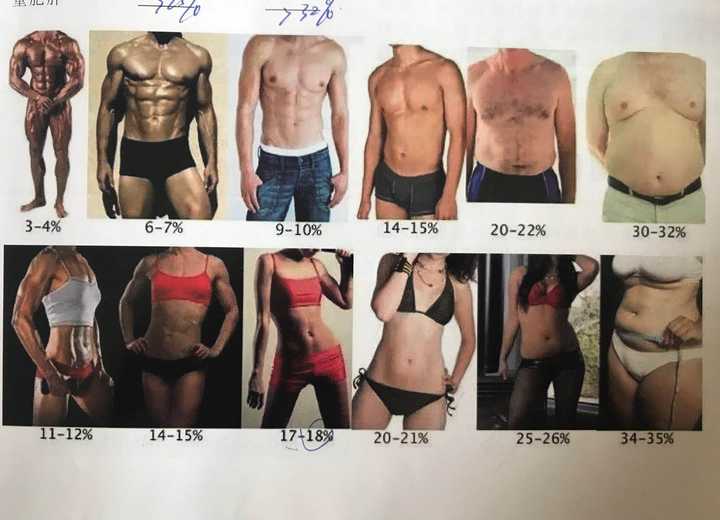体脂12 的人过的是什么样的生活 知乎 体脂12 的人过的是什么样的生活 知乎