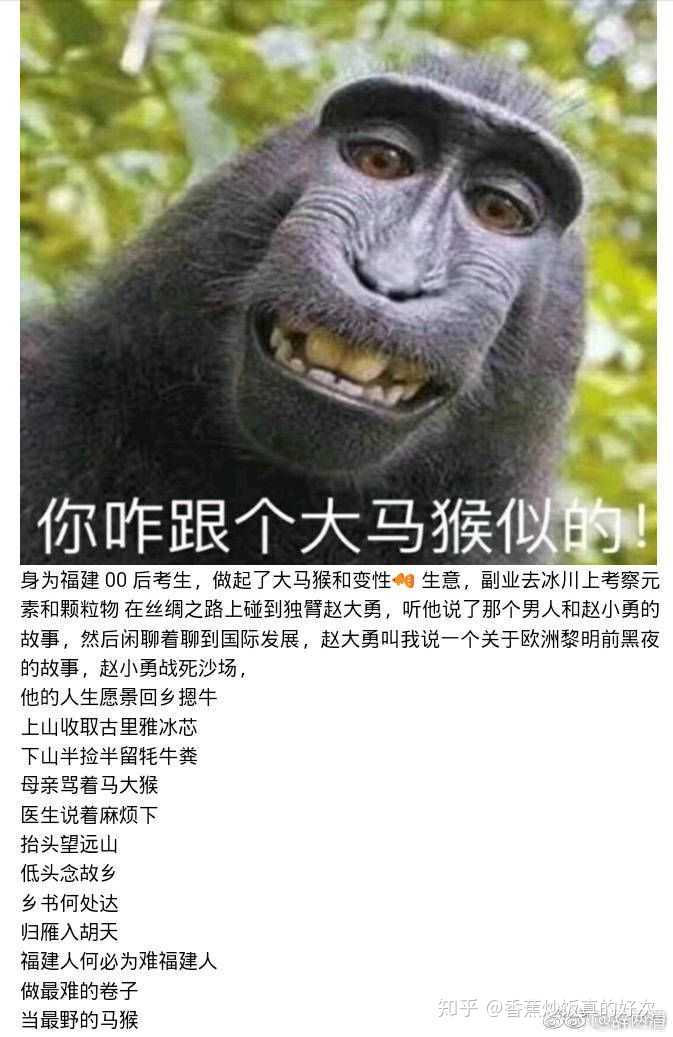 你见过最鬼畜的语文题是什么?