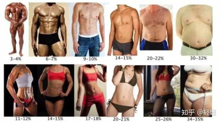 女生体脂率多少正常 知乎 女生体脂率多少正常 知乎