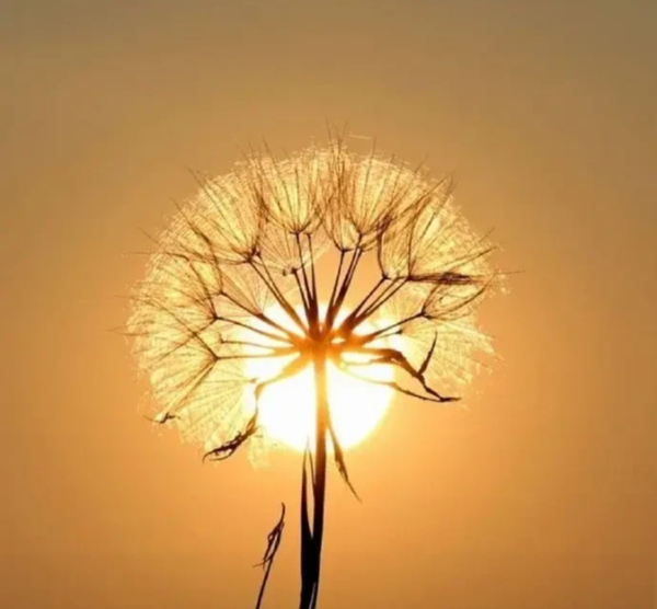 为什么怼领导之后，领导对我客气了？