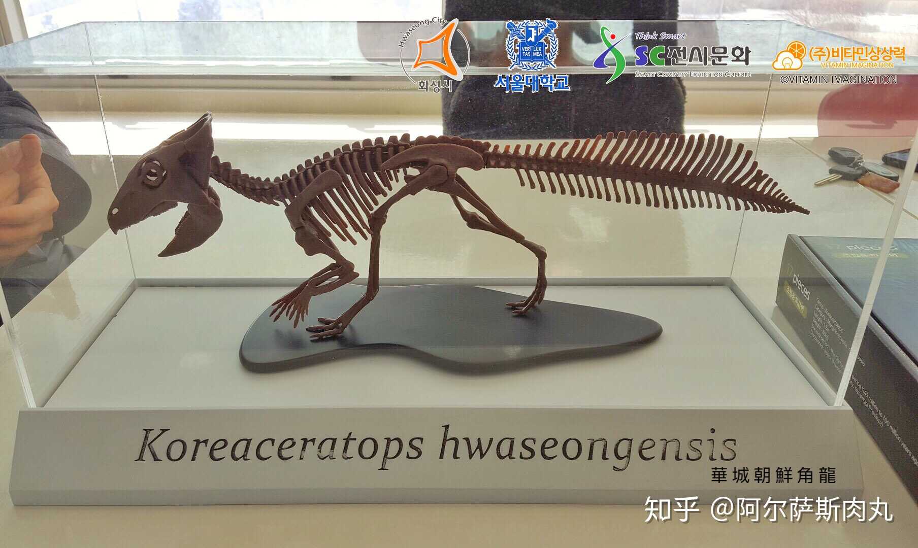 半岛异类朝鲜角龙koreaceratops