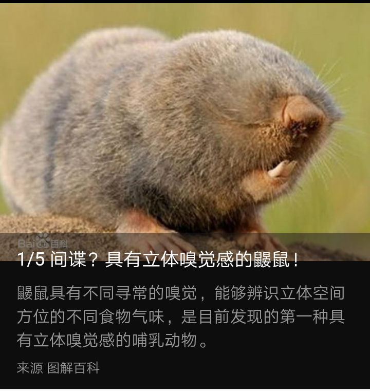 地懒vs短面熊,短面熊vs大地懒,细齿巨熊vs短面熊_大山谷图库