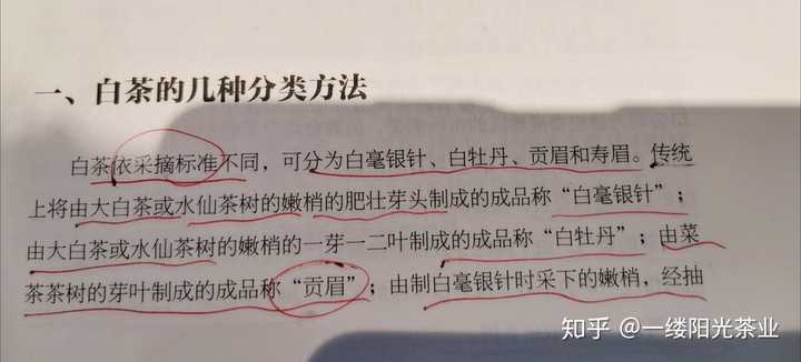 白茶里的大白 小白 水仙白具体是指什么 知乎 白茶里的大白 小白 水仙白具体是指什么 知乎