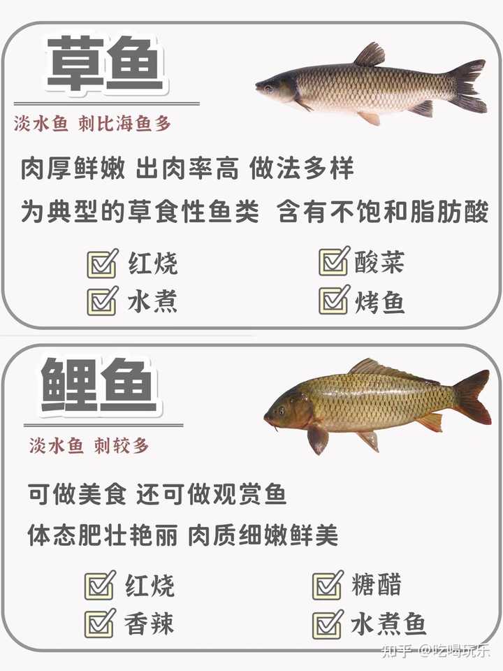 中国市场上有哪些食用鱼类品种 养殖方式各有什么特点 知乎