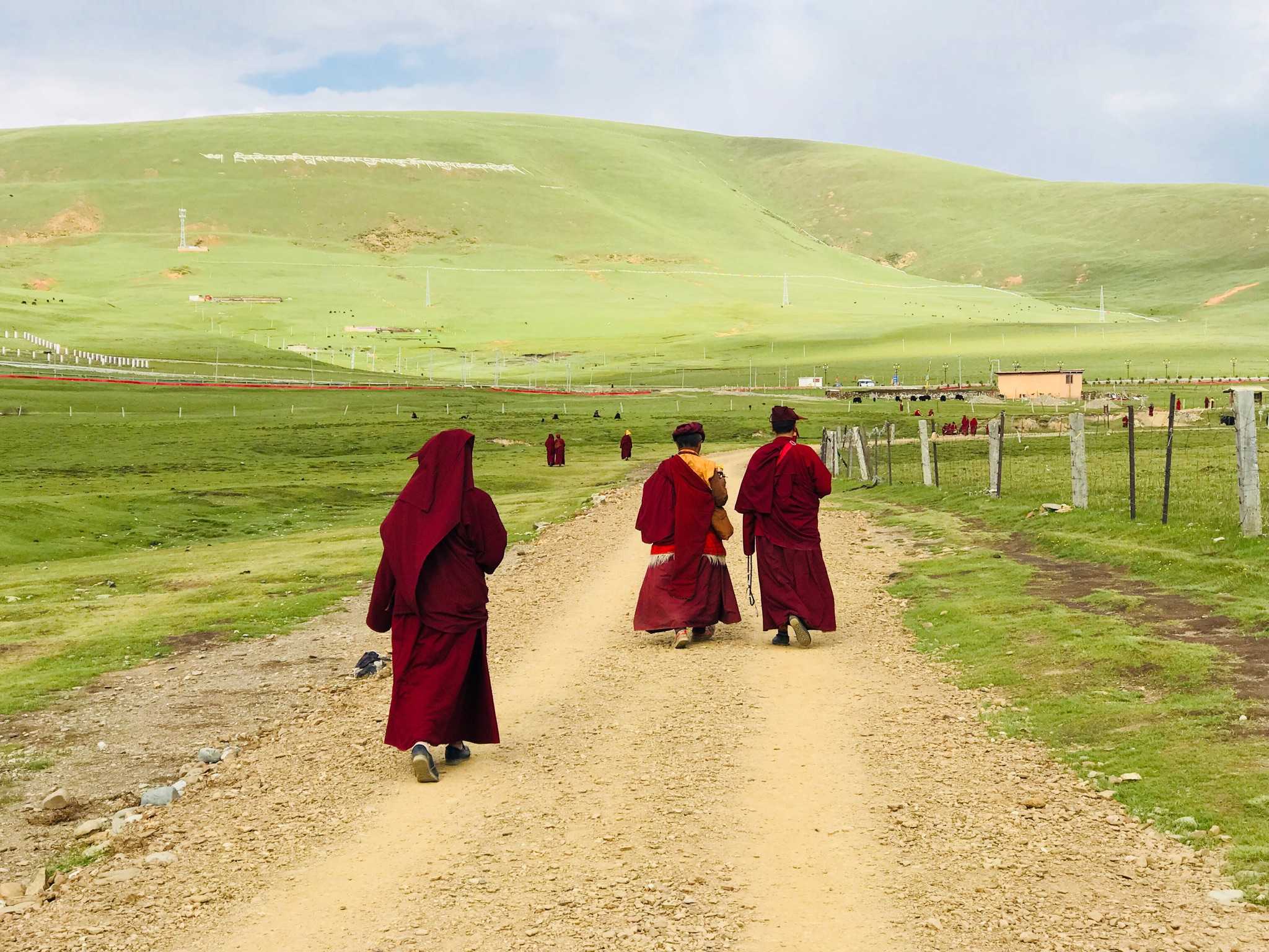 修行者,此路可通?