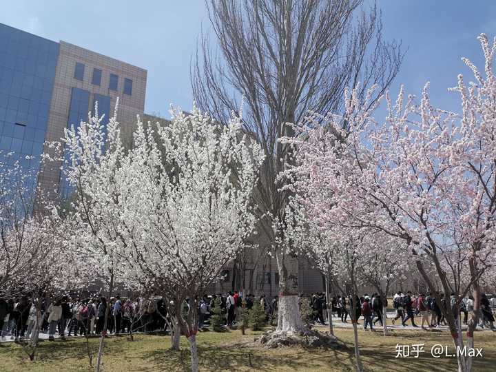 青海大學的宿舍條件如何?校區內有哪些生活設施?