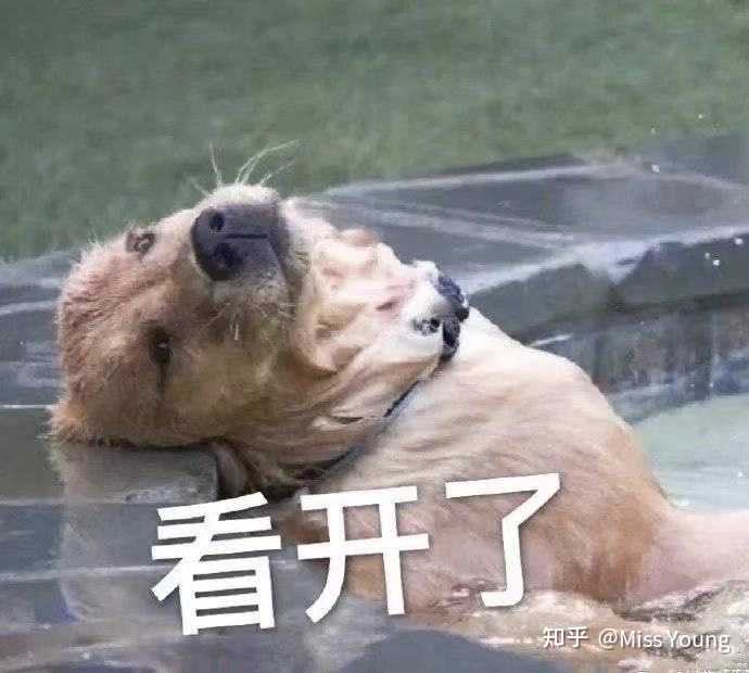 有哪些对视力伤害很大的行为 知乎