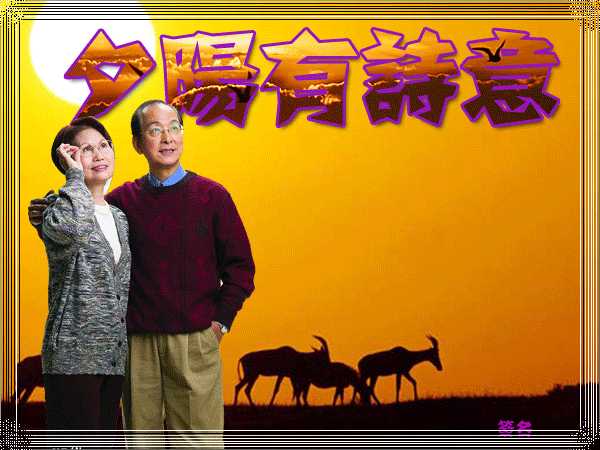 下面几种标准可以参考 1)和茶壶一样大 文字配色时,请务必选择中老年