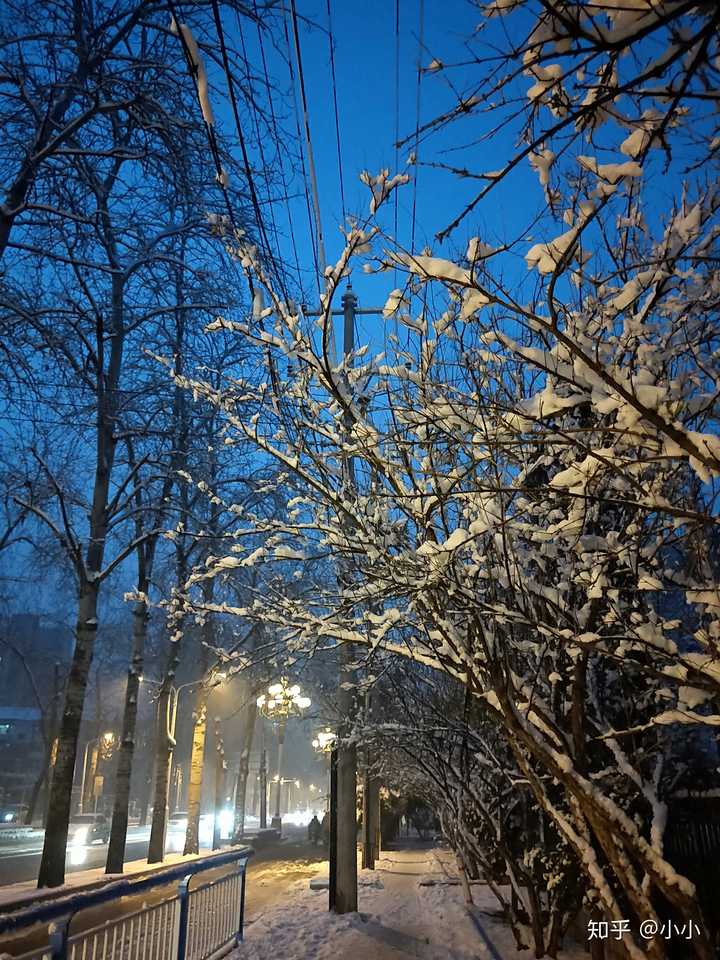 2020 年,你拍的最好看的一张照片是什么,背后有什么故事?