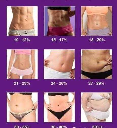 如何维持较低的体脂率 知乎